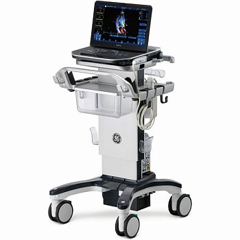 Ультразвуковая диагностическая система GE HealthCare Vivid iQ портативная